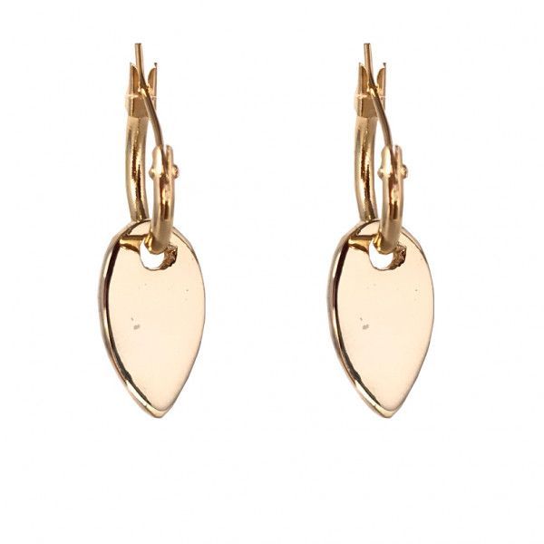 Pendientes Pua